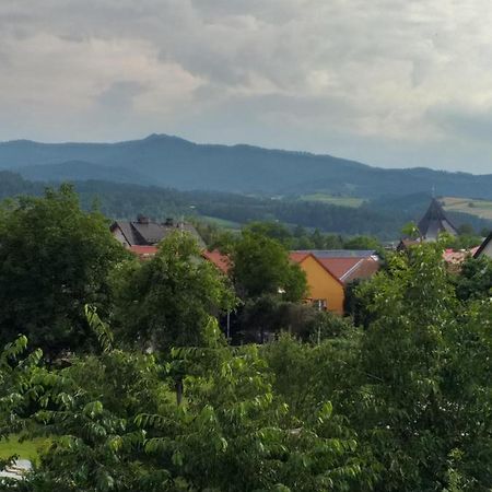 Domek Pod Przehyba - Pokoje Golkowice Dolne 外观 照片