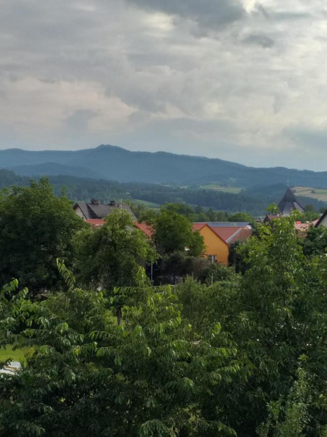 Domek Pod Przehyba - Pokoje Golkowice Dolne 外观 照片